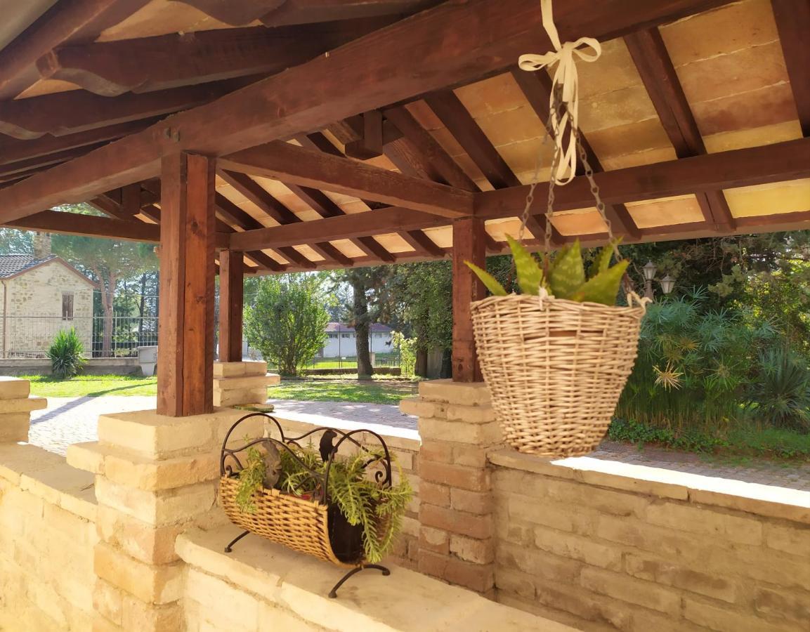 Torrenova Di Assisi Country House Dış mekan fotoğraf