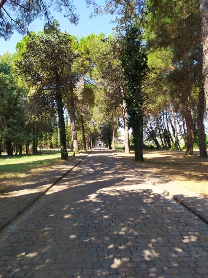Torrenova Di Assisi Country House Dış mekan fotoğraf