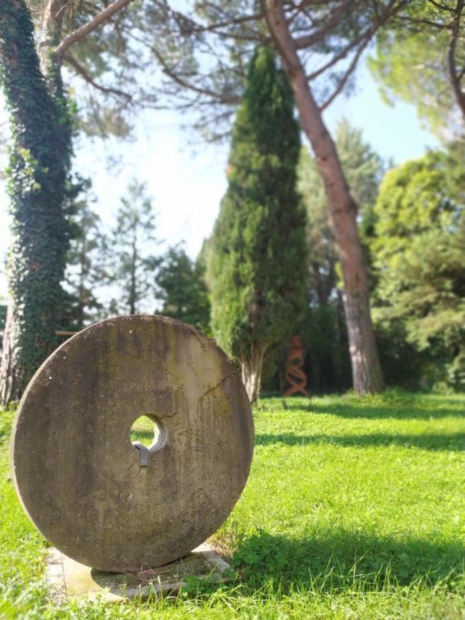 Torrenova Di Assisi Country House Dış mekan fotoğraf